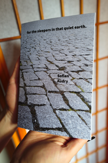 for the sleepers in that quiet earth. front cover.